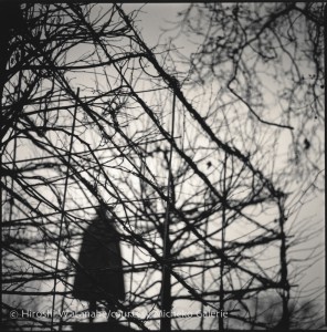 Grosvenor Square, Hiroshi Watanabe