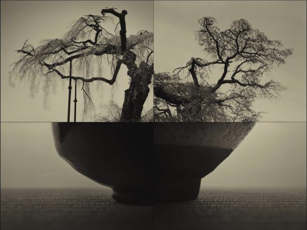 japanese-photography-exhibi